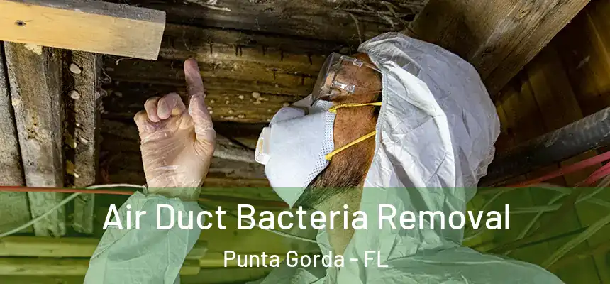 Air Duct Bacteria Removal Punta Gorda - FL