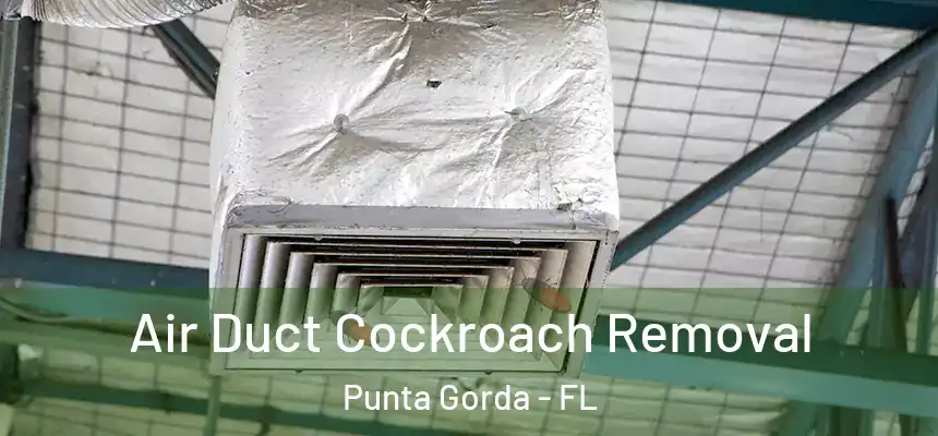 Air Duct Cockroach Removal Punta Gorda - FL