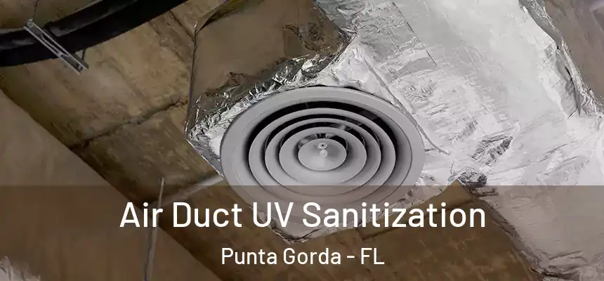 Air Duct UV Sanitization Punta Gorda - FL