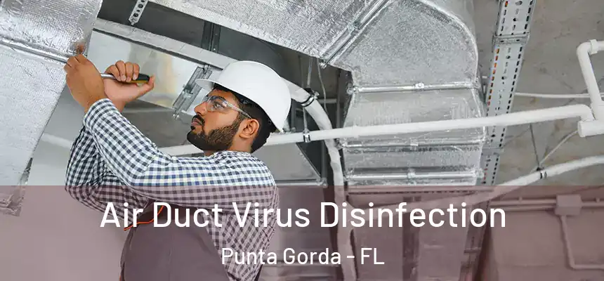Air Duct Virus Disinfection Punta Gorda - FL