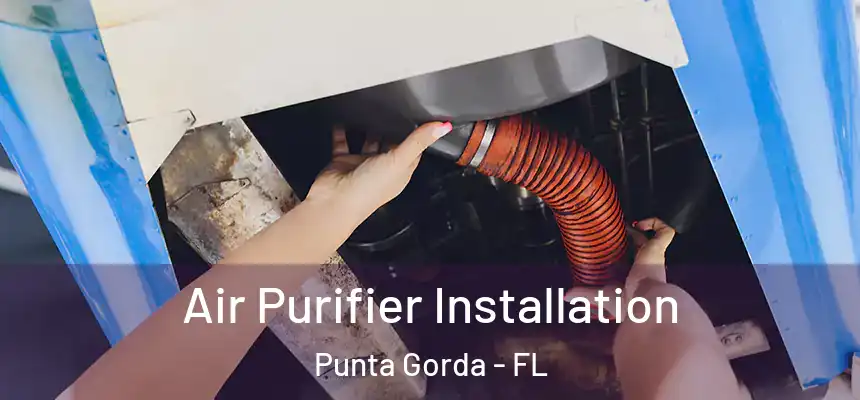 Air Purifier Installation Punta Gorda - FL