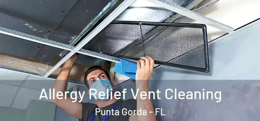 Allergy Relief Vent Cleaning Punta Gorda - FL