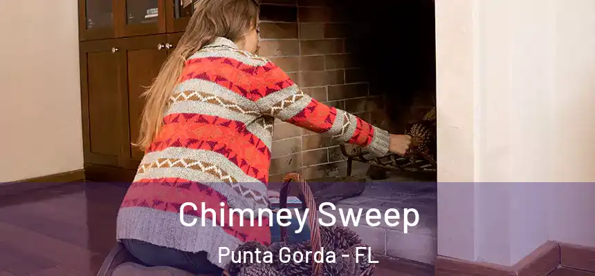 Chimney Sweep Punta Gorda - FL