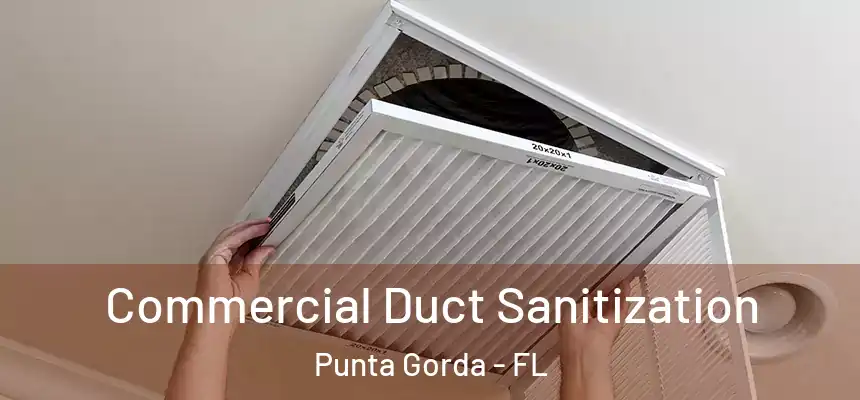  Commercial Duct Sanitization Punta Gorda - FL