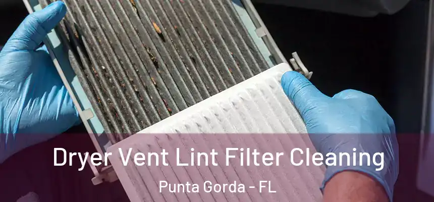 Dryer Vent Lint Filter Cleaning Punta Gorda - FL