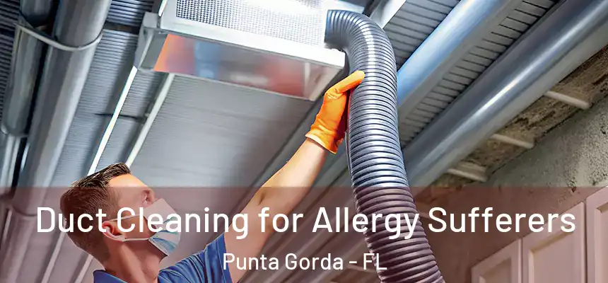 Duct Cleaning for Allergy Sufferers Punta Gorda - FL