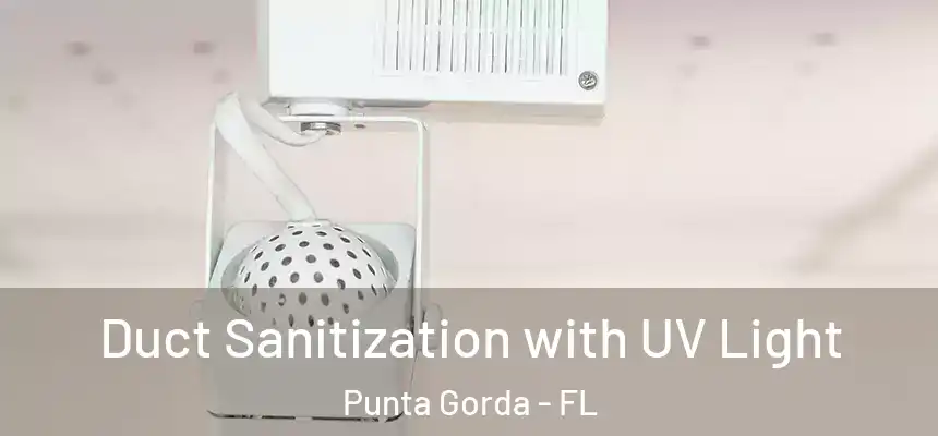 Duct Sanitization with UV Light Punta Gorda - FL