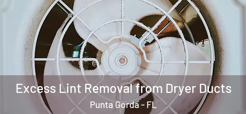 Excess Lint Removal from Dryer Ducts Punta Gorda - FL