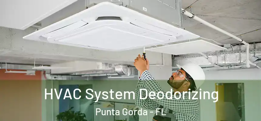 HVAC System Deodorizing Punta Gorda - FL