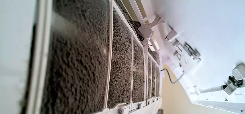 Preventive Air Duct Bacteria Removal in Punta Gorda