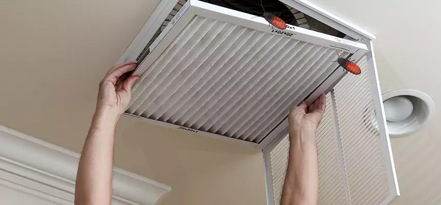 Preventive Cockroach-Proofing for Ducts in Punta Gorda