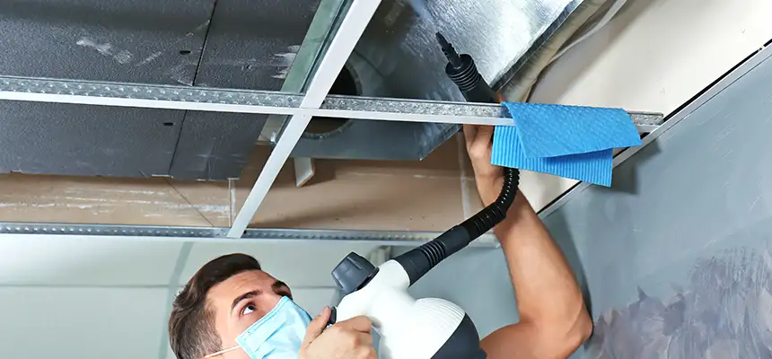 Our Air Duct Rodent Removal Services in Punta Gorda, FL