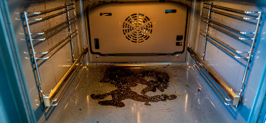 Our Dryer Vent Mold Cleaning Services in Punta Gorda, FL