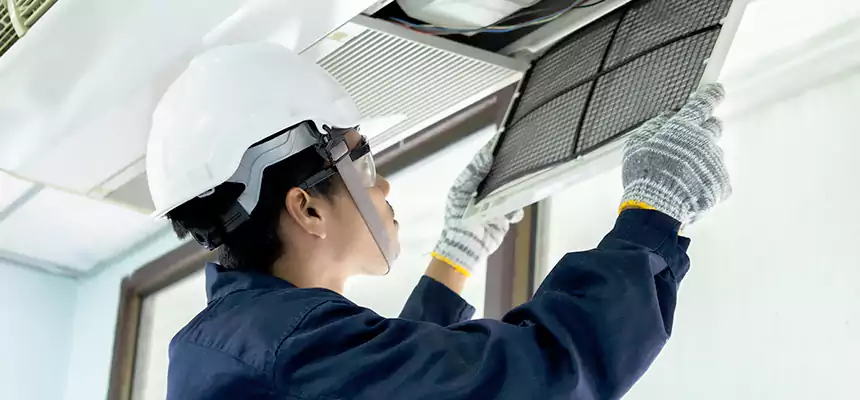 Our Mold & Mildew Removal from Air Ducts Services in Punta Gorda, FL