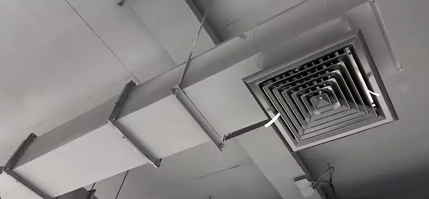 Our Rodent Droppings In Vents Services in Punta Gorda, FL