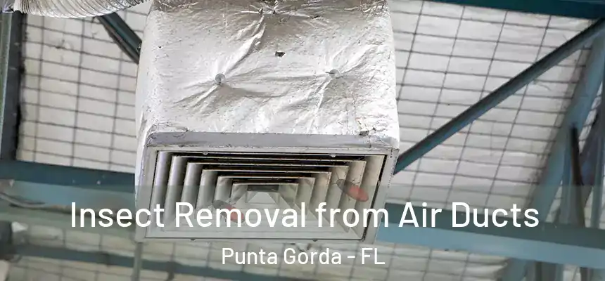 Insect Removal from Air Ducts Punta Gorda - FL