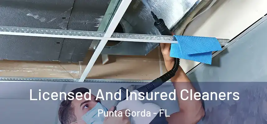 Licensed And Insured Cleaners Punta Gorda - FL