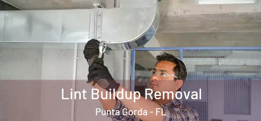 Lint Buildup Removal Punta Gorda - FL