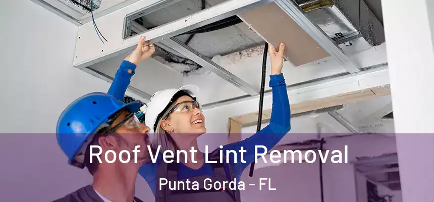 Roof Vent Lint Removal Punta Gorda - FL