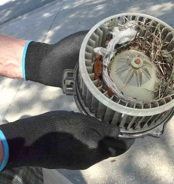 About Air Duct Rat Removal in Punta Gorda, FL