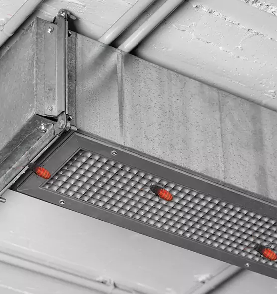 Affordable Insect Removal from Air Ducts in Punta Gorda, FL