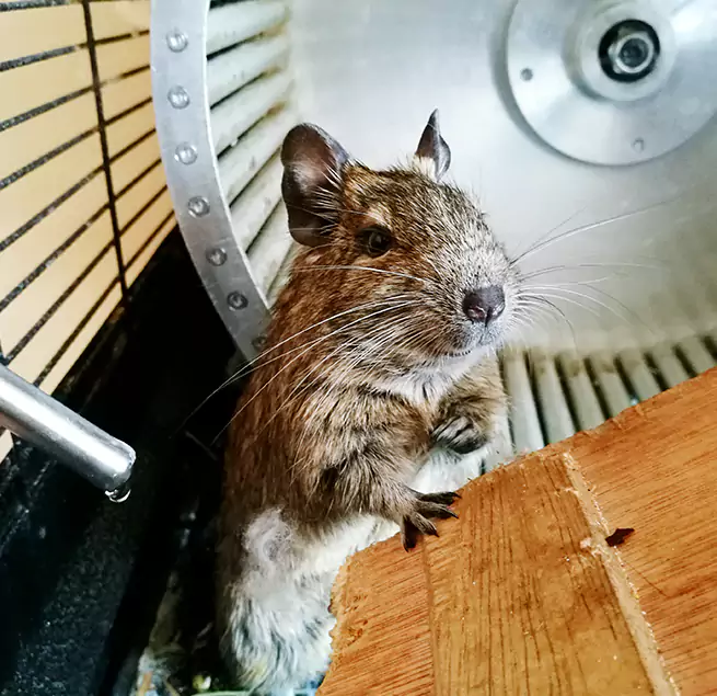 Why Homeowners & Businesses Trust Us Punta Gorda, FL?