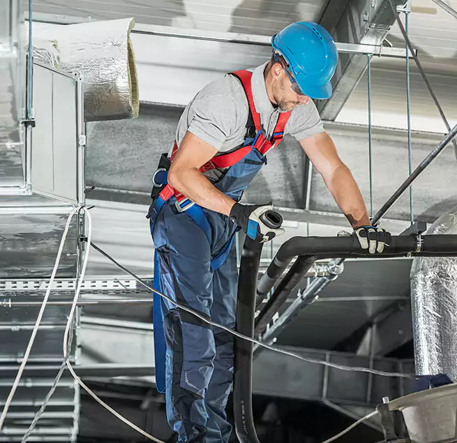 Why Homeowners & Businesses Trust Us in Punta Gorda, FL?