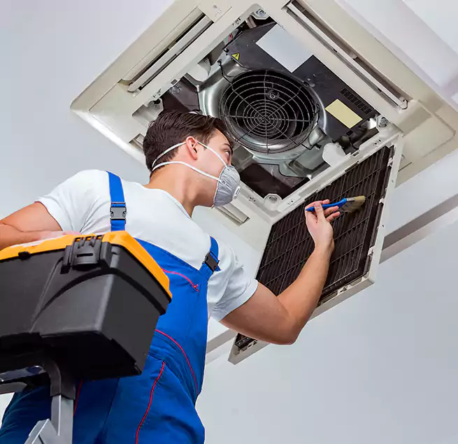 Why Homeowners & Businesses Trust Us in Punta Gorda, FL