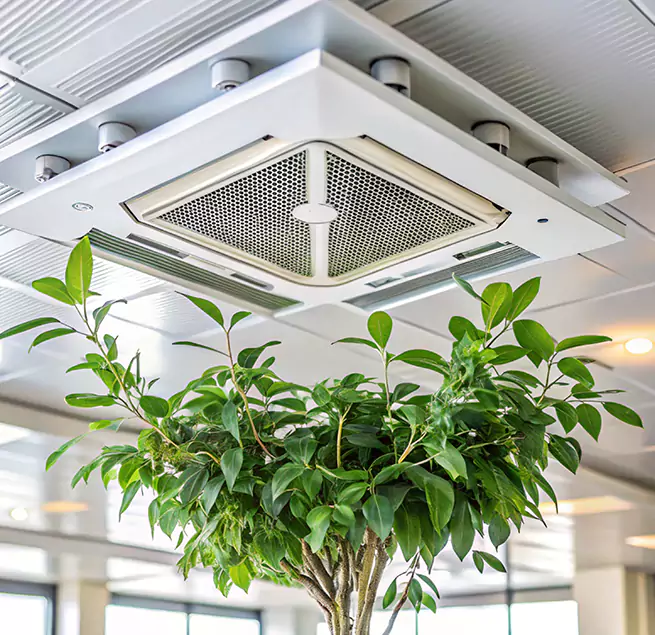 Why Homeowners & Businesses Trust Us in Punta Gorda, FL?