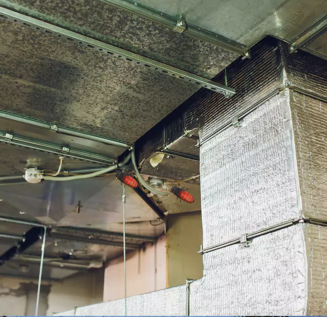 Why Homeowners & Businesses Trust Us Punta Gorda, FL?