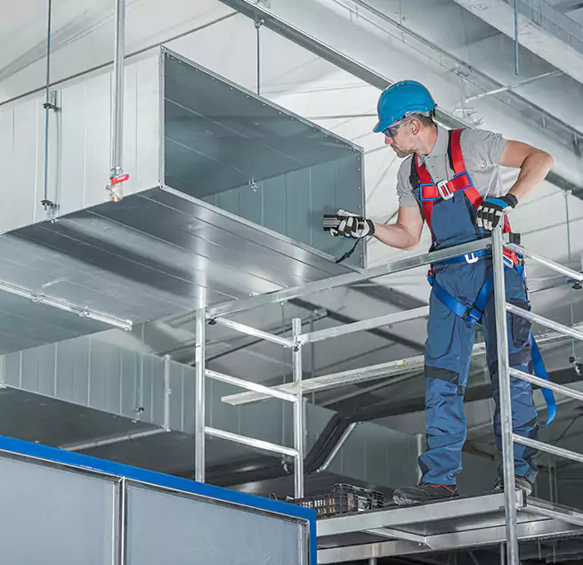 Why Homeowners & Businesses Trust Us in Punta Gorda, FL?