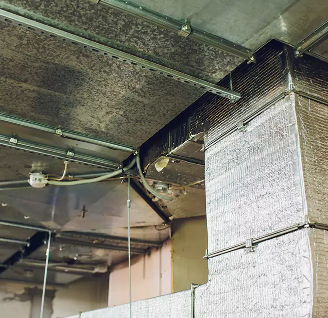 Why Homeowners & Businesses Trust Us in Punta Gorda, FL?