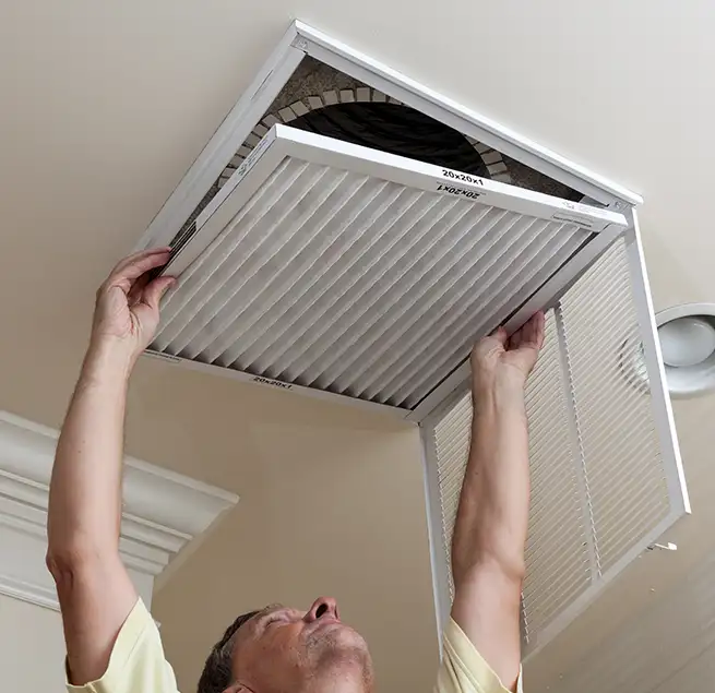 Why Homeowners & Businesses Trust Us in Punta Gorda, FL?