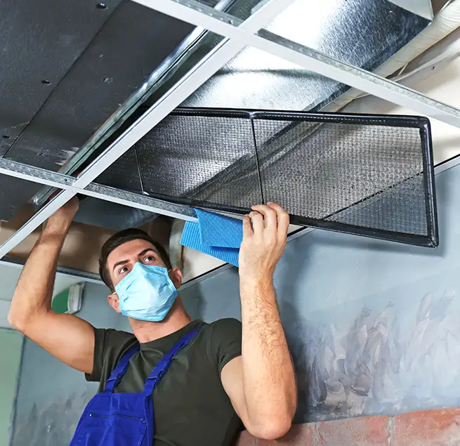 Why Homeowners & Businesses Trust Us in Punta Gorda, FL?