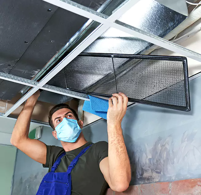 Why Homeowners Businesses Trust Us in Punta Gorda, FL?