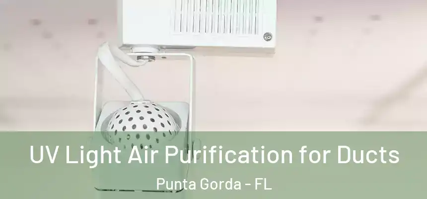 UV Light Air Purification for Ducts Punta Gorda - FL